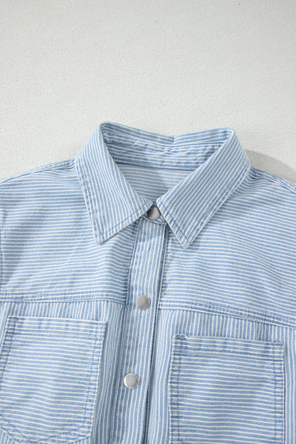 Stripe Denim Collared Button-Front Sleeveless Dress