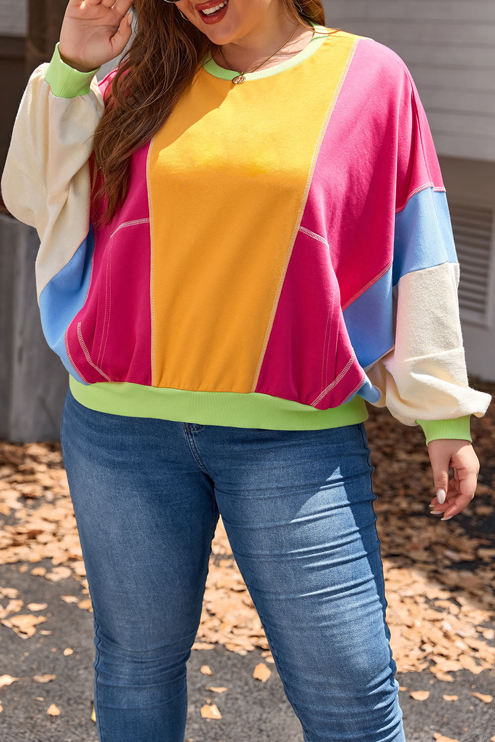 Colorblock Reverse Seam Sweatshirt Plus Size