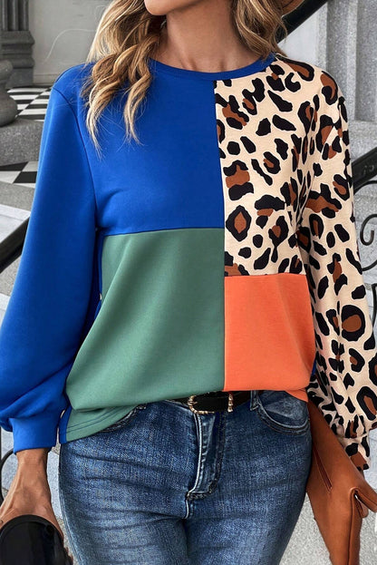 Leopard Colorblock Long Sleeve Top