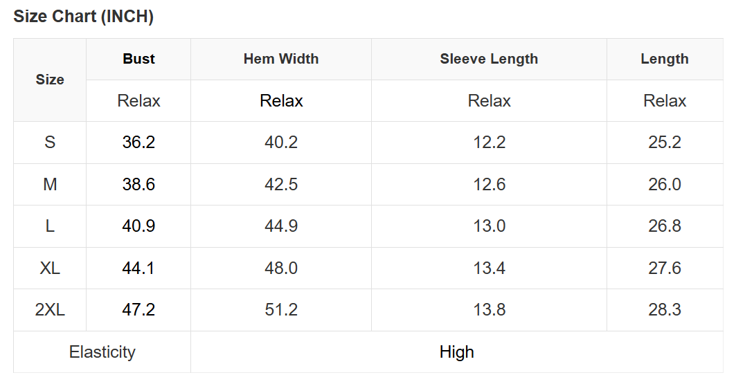 Lace Patchwork Raglan Sleeve Seam Detail Tee